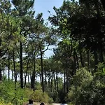 Bel 1 Pour 5 Personnes Près De La - Fr-1-323-412 Appartamento Saint-Jean-de-Monts
