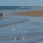 Bel 1 Pour 5 Personnes Pres De La - Fr-1-323-412 Apartment *