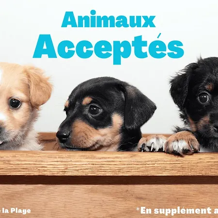 Bel 1 Pour 5 Personnes Pres De La - Fr-1-323-412 아파트 생장드몽