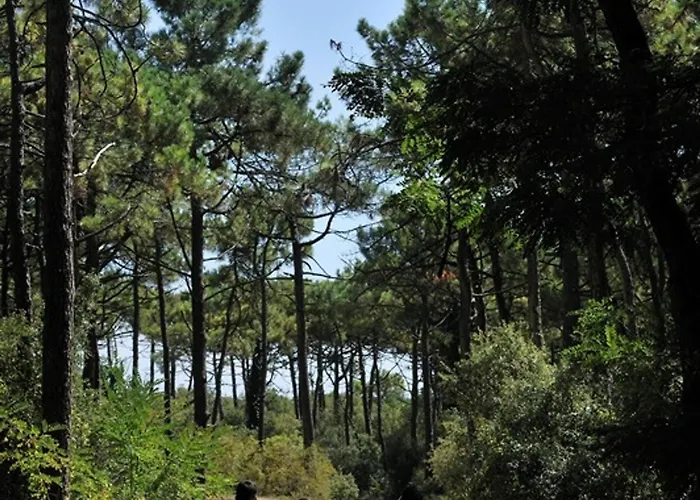 Bel 1 Pour 5 Personnes Pres De La - Fr-1-323-412 아파트 생장드몽