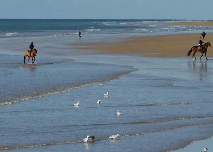 Bel 1 Pour 5 Personnes Pres De La - Fr-1-323-412 아파트 *